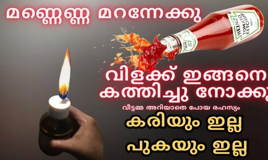 മണ്ണെണ്ണ മറന്നേക്കു 5 പൈസ ചെലവില്ലാതെ വിളക്ക് ഇങ്ങനെ കത്തിച്ചു നോക്കൂ
