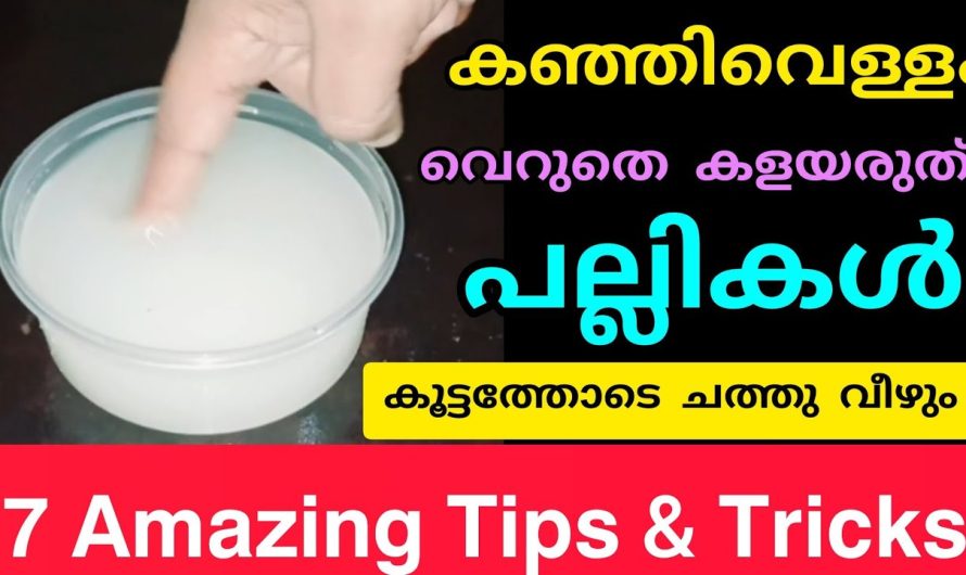 കഞ്ഞിവെള്ളം വെറുതെ കളയരുത് പല്ലികൾ കൂട്ടത്തോടെ ചത്തു വീഴും