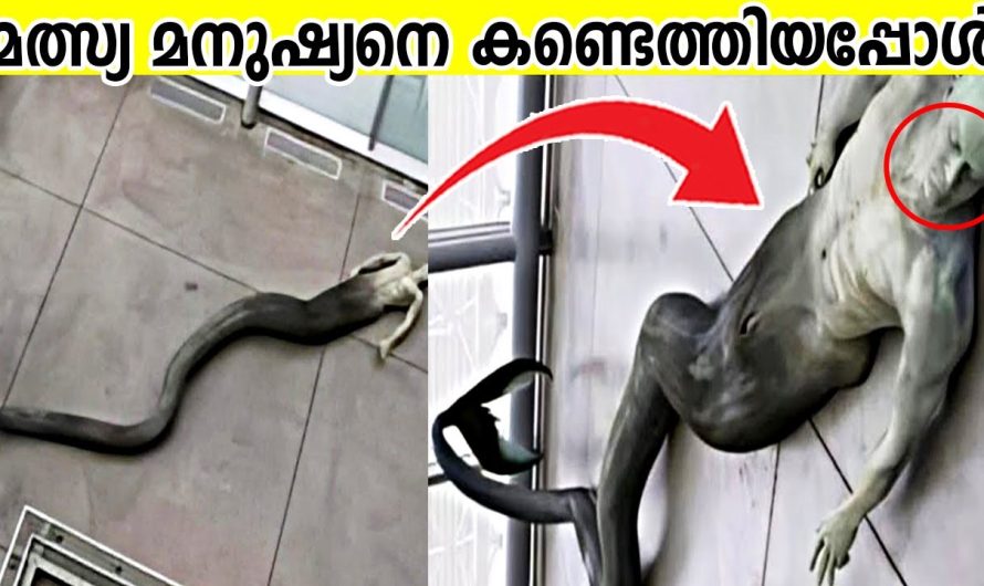 ലോകം എത്ര വളർന്നാലും ഇന്നും നമ്മൾ അറിയാതെ പോകുന്ന ചില അത്ഭുതങ്ങളെ കുറിച്ച് മനസ്സിലാക്കാം..