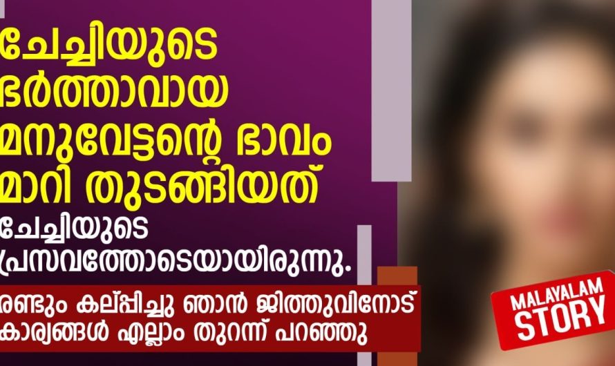 രണ്ടും കല്പ്പിച്ചു ഞാൻ ജിത്തുവിനോട് കാര്യങ്ങൾ എല്ലാം തുറന്ന് പറഞ്ഞു