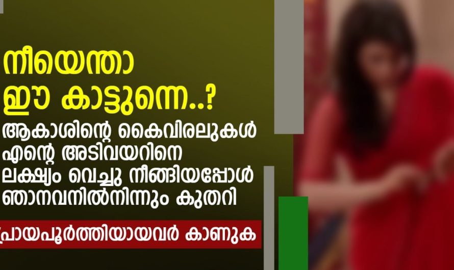 നീയെന്താ ഈ കാട്ടുന്നെ? ആകാശിന്റെ കൈവിരലുകൾ എന്റെ അടിവയറിനെ ലക്ഷ്യം വെച്ചു