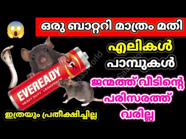 പാചകക്കാർ ചെയ്യുന്ന കിടിലൻ സൂത്രം 😱 കേടായ ഒരു ബാറ്ററി മതി എലി, പെരുച്ചാഴി,പാമ്പ് എന്നിവയെ തുരത്താം