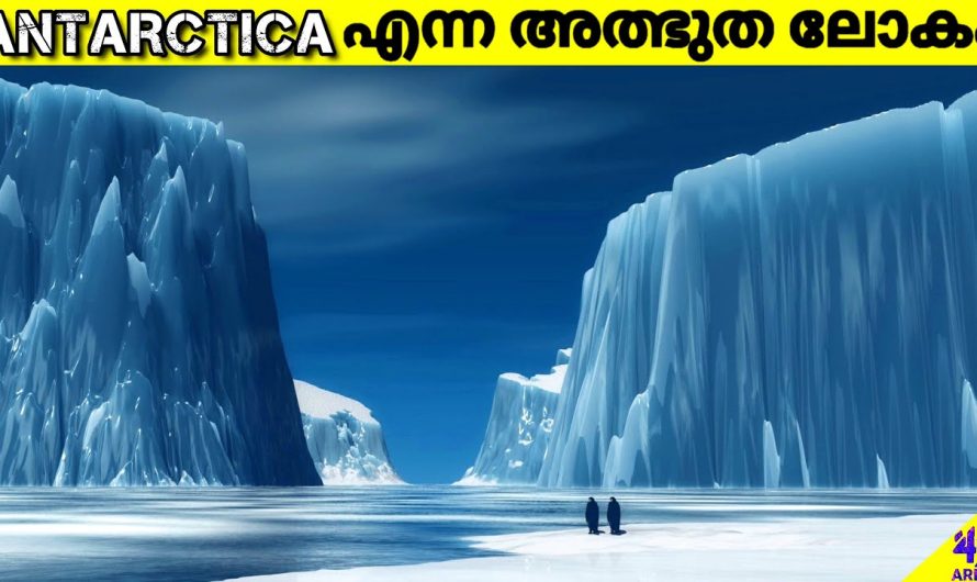 അന്റാർട്ടിക്ക-ശീതീകരിച്ച ലോകം | അന്റാർട്ടിക്കയിലെ കണ്ടെത്തലുകൾ