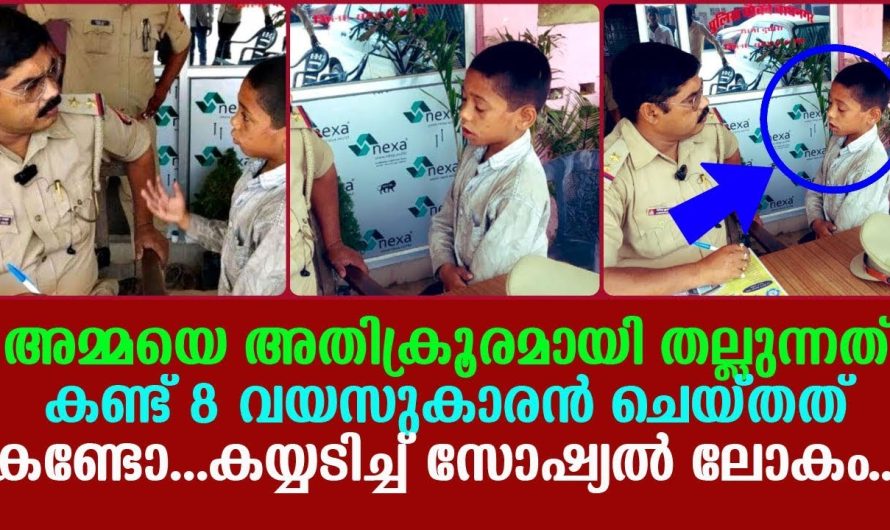 8 വയസുകാരൻ ചെയ്തത് കണ്ടോ… കയ്യടിച്ച് സോഷ്യൽ ലോകം