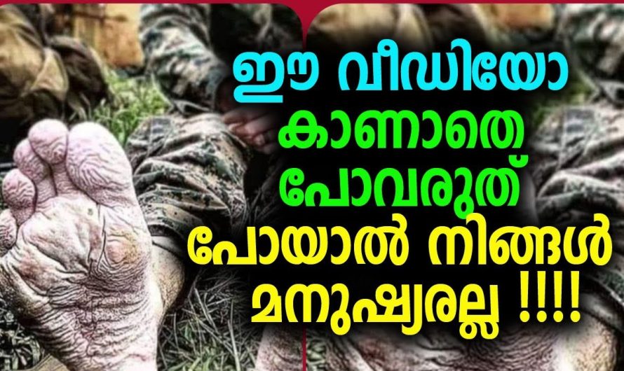 കണ്ണ് നിറയാതെ നിങ്ങൾക്ക് ഈ വീഡിയോ കാണാനാവില്ല