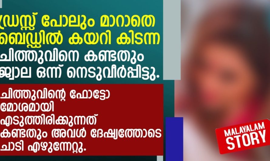 ഡ്രസ്സ് പോലും മാറാതെ ബെഡ്ഡിൽ കയറികിടന്ന ചിത്തുവിനെ കണ്ടതും ജ്വാല ഒന്ന് നെടുവീർപ്പിട്ടു