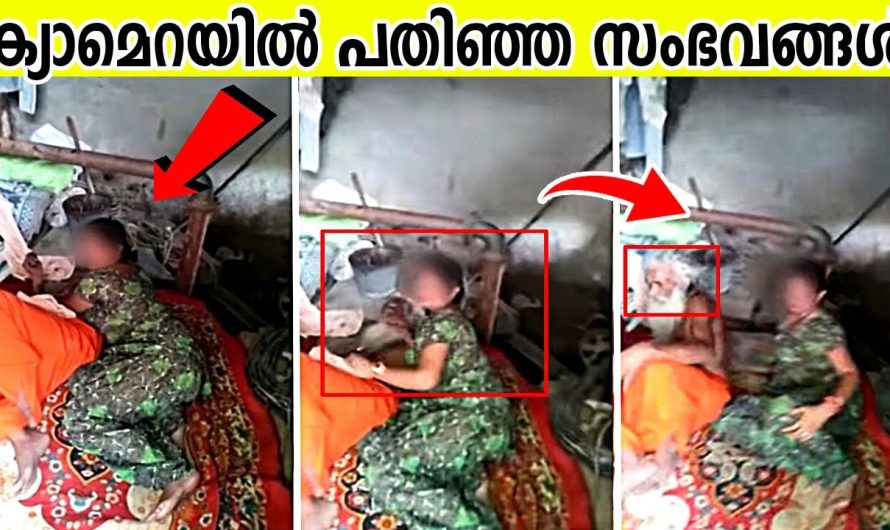 നമ്മളെ കൂടുതൽ അത്ഭുതപ്പെടുത്തുകയും ആശ്ചര്യപ്പെടുത്തുകയും ചെയ്യുന്ന ചില കാര്യങ്ങൾ പരിചയപ്പെടാം..
