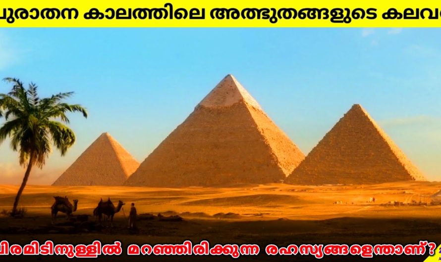 ഗിസ പിരമിഡുകൾ: ലോകത്തിലെ നിഗൂഢ അത്ഭുതം | ആരാണ് അവ നിർമ്മിച്ചത്?