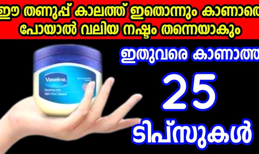 Vaseline കൊണ്ടുള്ള ഇത്രയും ഉപയോഗങ്ങൾ ഇതുവരെ കണ്ടിട്ടുണ്ടോ
