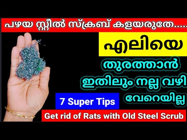 💯ഇതൊരെണ്ണം വീട്ടിലുണ്ടെങ്കിൽ എലിയും പെരുച്ചാഴിയും ആ പരിസരത്ത് വരില്ല