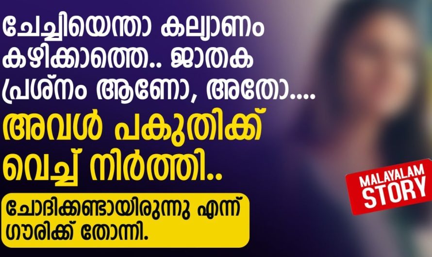ചേച്ചിയെന്താ കല്യാണം കഴിക്കാത്തെ.. ജാതക പ്രശ്നം ആണോ, അതോ