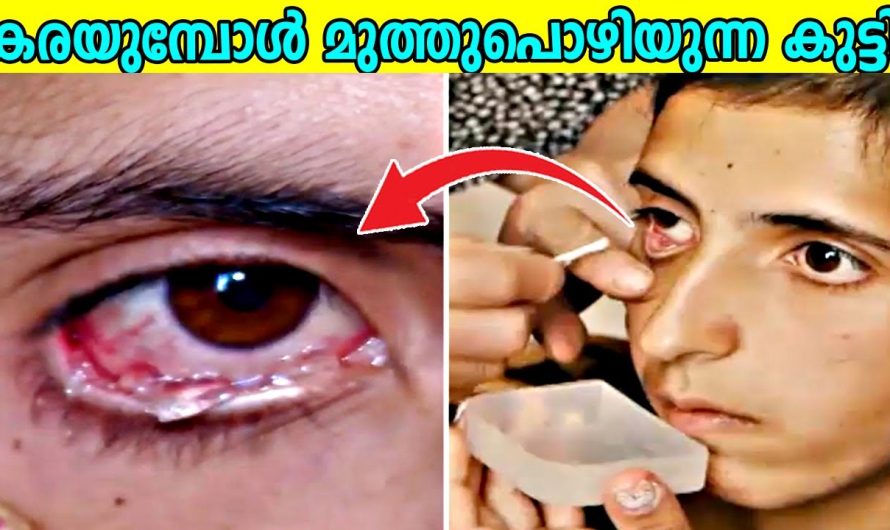 ലോകത്തിലെ തന്നെ വ്യത്യസ്തമായ കഴിവുകൾ ഉള്ള മനുഷ്യരെ കുറിച്ച് പരിചയപ്പെടാം..