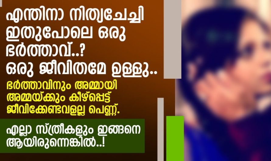 എന്തിനാ നിത്യചേച്ചി ഇതുപോലെ ഒരു ഭർത്താവ്? ഒരു ജീവിതമേ ഉള്ളു