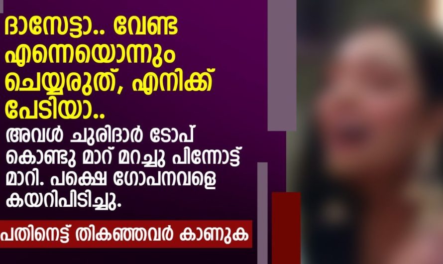 ദാസേട്ടാ.. വേണ്ട എന്നെയൊന്നും ചെയ്യരുത്, എനിക്ക് പേടിയാ |