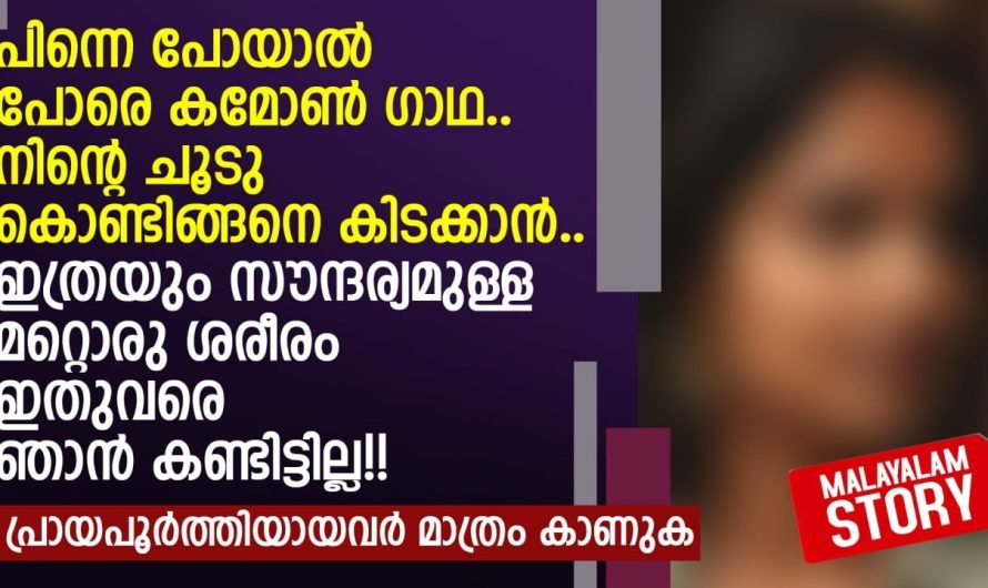 പിന്നെ പോയാൽ പോരെ കമോൺ ഗാഥ