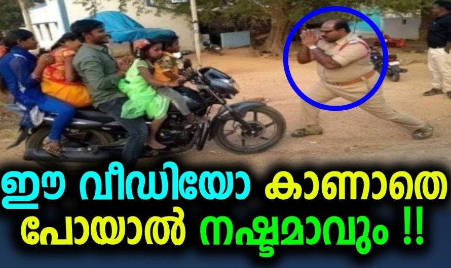 ഒരേ നിമിഷം ചിരിപ്പിക്കുകയും ചിന്തിപ്പിക്കുകയും ചെയ്ത വീഡിയോ