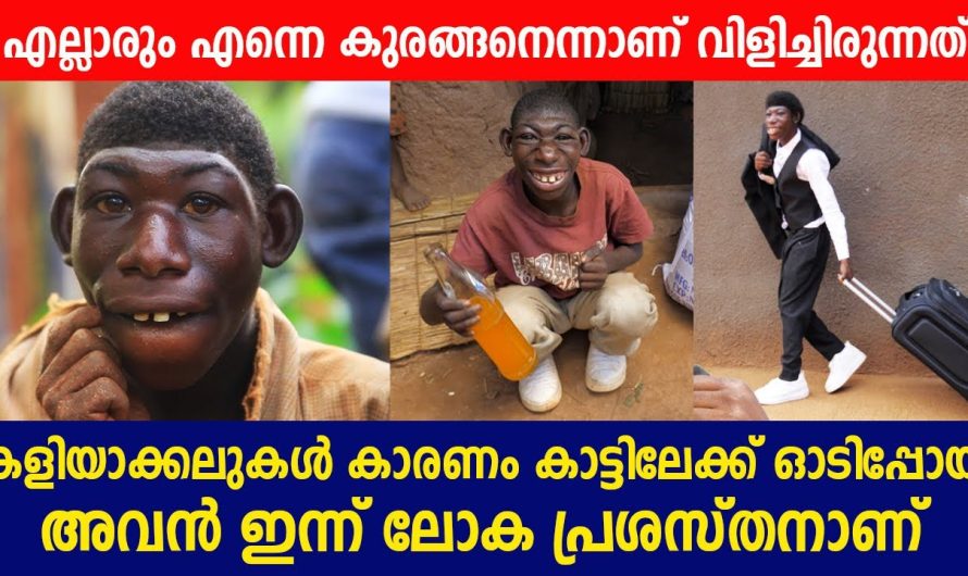 എല്ലാരും കുരങ്ങനെന്ന് വിളിച്ചധിക്ഷേപിച്ച അവൻ ഒടുവിൽ കാട്ടിലേക്ക് ഓടിപ്പോയി. എന്നാൽ ഇന്ന്