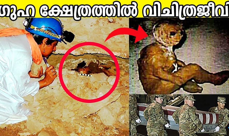 ലോകത്തിലെ ശാസ്ത്രത്തിനുപോലും ഉത്തരം മുട്ടിയ 10 നിർമ്മിതികളെ കുറിച്ച് മനസ്സിലാക്കാം..