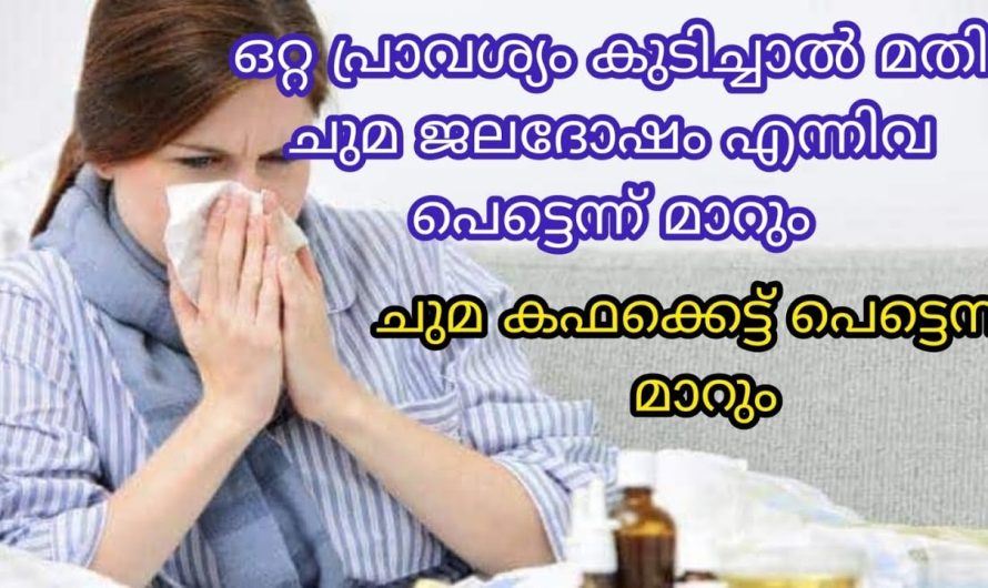 ഒറ്റ പ്രാവശ്യം കുടിച്ചാൽ ചുമ ജലദോഷം പെട്ടെന്ന് മാറും|ചുമ കഫക്കെട്ട് മാറും