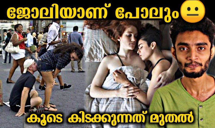 അയ്യേ ഇതൊക്കെ ഒരു ജോലിയാണോ