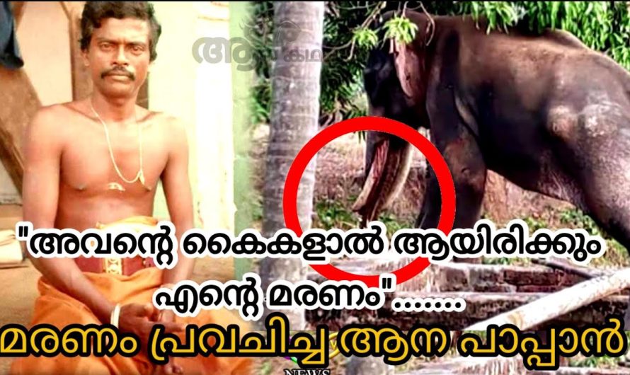“അവന്റെ കൈകളാൽ ആയിരിക്കും എന്റെ മ..ര..ണം..” മ..ര..ണത്തെ പ്രവചിച്ച ആനപാപ്പാൻ