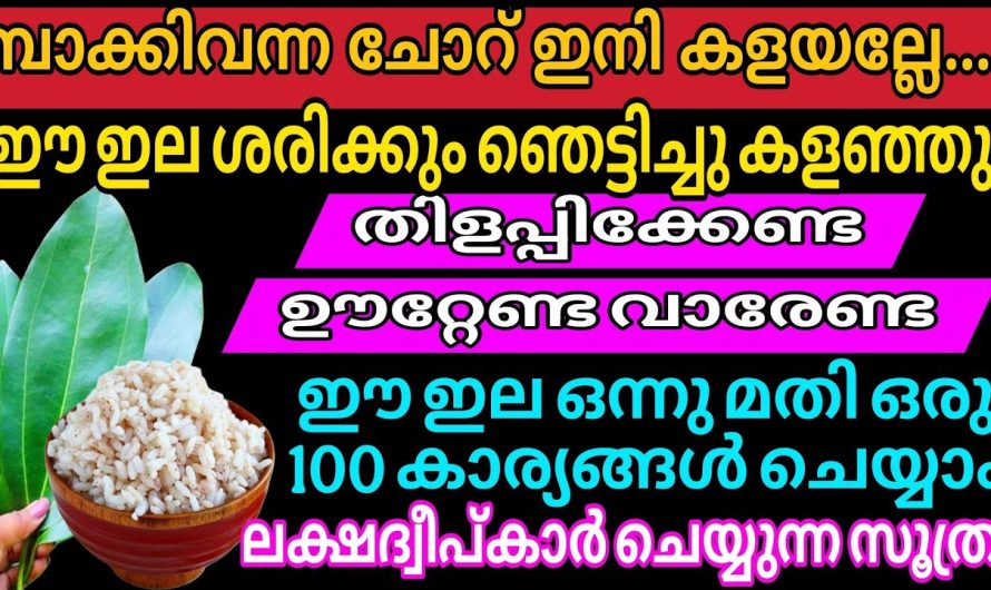 ഈ ഇല ഞെട്ടിച്ചു ഞെട്ടിച്ചു കളഞ്ഞു