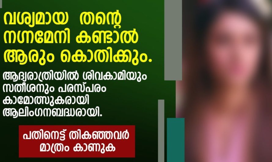 ആദ്യരാത്രിയിൽ ശിവകാമിയും സതീശനും പരസ്പരം കാ.മോ.ത്സു.ക.രാ.യി ആ.ലിം.ഗ.ന.ബദ്ധരായി