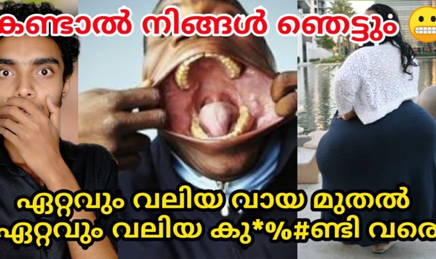 ഏറ്റവും നീളം കൂടിയ 10 അവയവങ്ങൾ