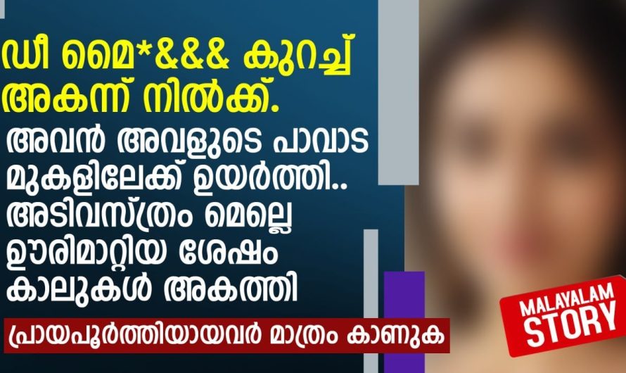 പാവാട മുകളിലേക്ക് ഉയർത്തി.. അടിവസ്ത്രം മെല്ലെ ഊരിമാറ്റിയ ശേഷം കാലുകൾ അകത്തി