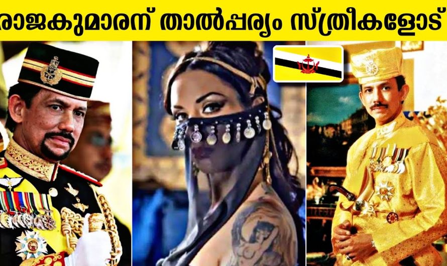രാജകുമാരന് താൽപ്പര്യം സ്ത്രീകളോടാണ് ! കോടീശ്വരന്മാരുടെ ജീവിത രഹസ്യങ്ങൾ