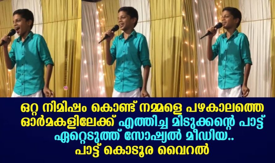 ഒറ്റദിവസം കൊണ്ട് കേരളക്കര നിറഞ്ഞാടുന്ന മിടുക്കന്റെ ആ വൈറൽ പാട്ട് ഇതാണ് !