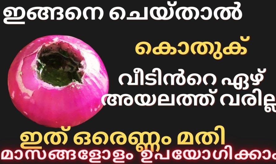 💯ഇത് ഒരെണ്ണം മതി കൊതുക് വീടിൻറെ ഏഴ് അയലത്ത് വരില്ല