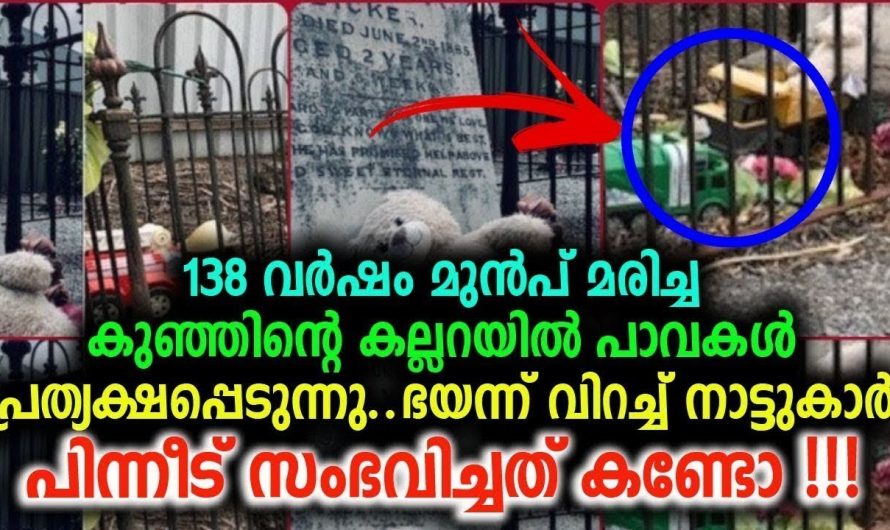 138 വർഷം മുൻപ് മ..രി..ച്ച കുഞ്ഞിന്റെ ക..ല്ല..റ..യിൽ പാവകൾ പ്രത്യക്ഷപ്പെടുന്നു..ഭയന്ന് വിറച്ച് നാട്ടുകാർ !!!!