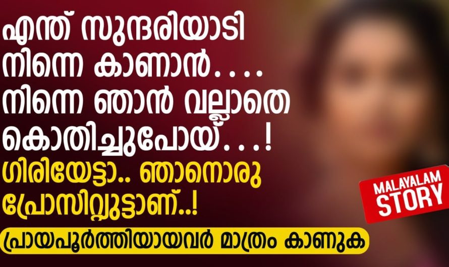 ഗിരിയേട്ടാ.. ഞാനൊരു പ്രോ സിറ്റ്യുട്ടാണ് |