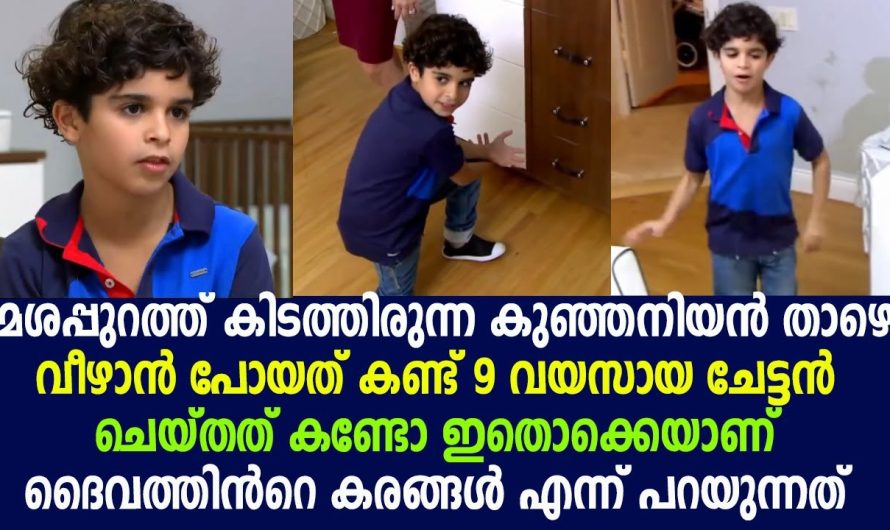കുഞ്ഞനിയൻ താഴെ വീഴാൻ പോയത് കണ്ട് 9 വയസായ ചേട്ടൻ ചെയ്തത് കണ്ടോ !!!