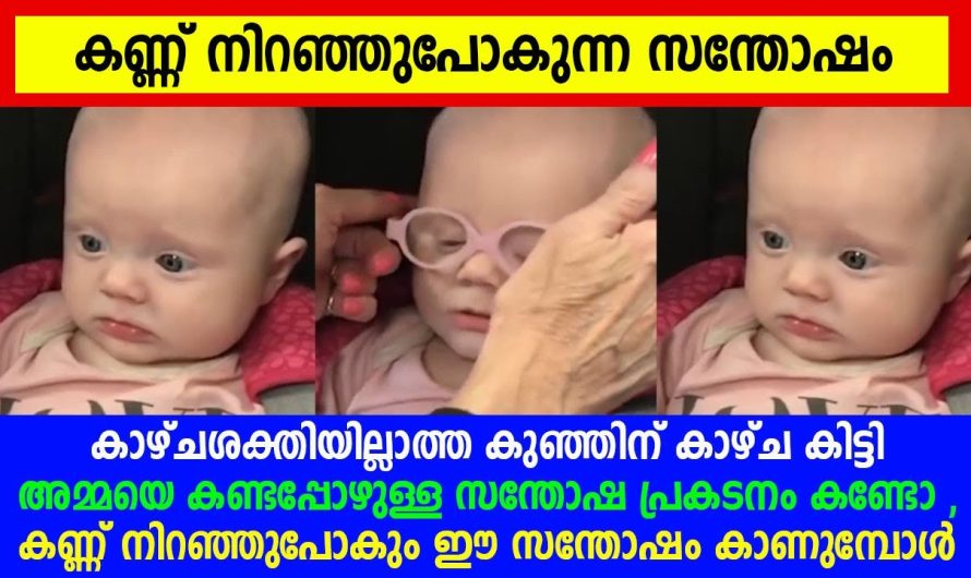 കാഴ്ചശക്തിയില്ലാത്ത കുഞ്ഞിന് കാഴ്ച കിട്ടി അമ്മയെ കണ്ടപ്പോഴുള്ള സന്തോഷ പ്രകടനം കണ്ടോ , വീഡിയോ !!
