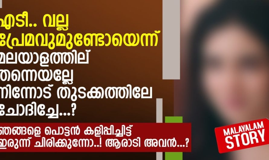 എടീ.. വല്ല പ്രേമവുമുണ്ടോയെന്ന് മലയാളത്തില് തന്നെയല്ലേ നിന്നോട് ചോദിച്ചേ