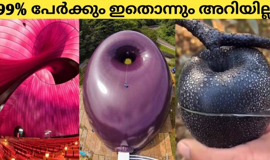 നിങ്ങൾ അറിഞ്ഞിരിക്കാൻ വഴിയില്ലാത്ത ചില വസ്തുതകൾ 🤔