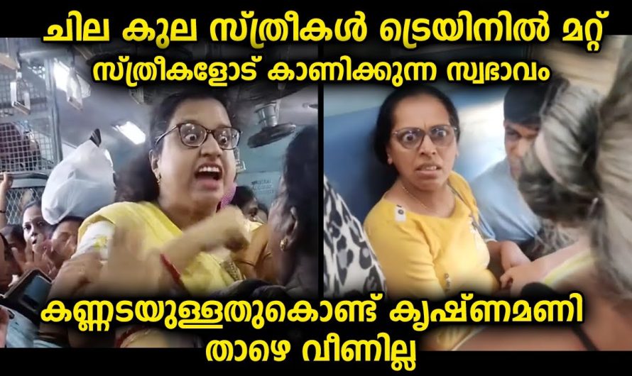 ചില സ്ത്രീകൾ ട്രെയിനിൽ യാത്ര ചെയ്യുമ്പോൾ കൂടെയുള്ള സ്ത്രീകളോട് കാണിക്കുന്ന നവരസങ്ങൾ ആണിത്
