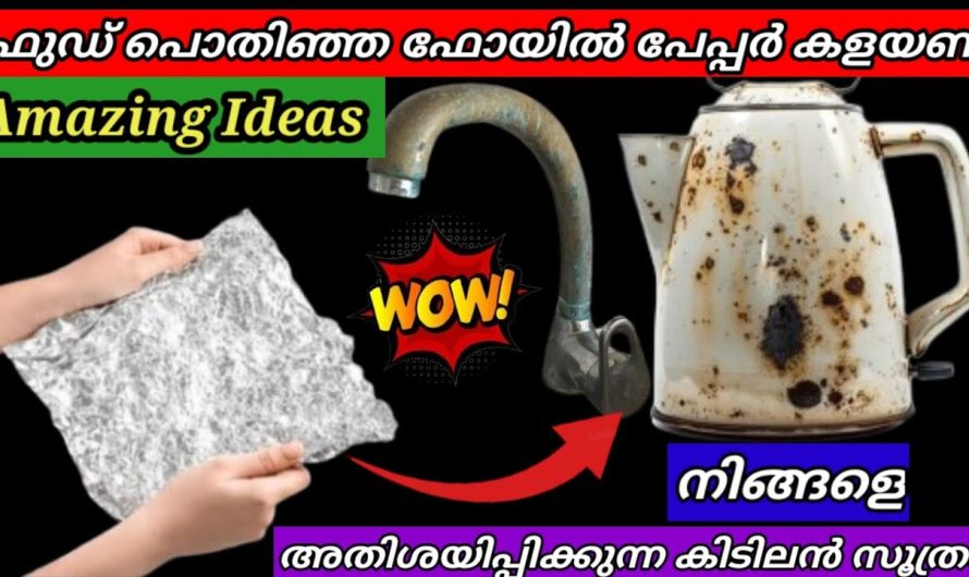 കിച്ചണിലെ റാണി ആകാം ഒറ്റ തവണ ഇങ്ങനെ ചെയ്താൽ വീട്ടുകാർ അഭിനന്ദിക്കും