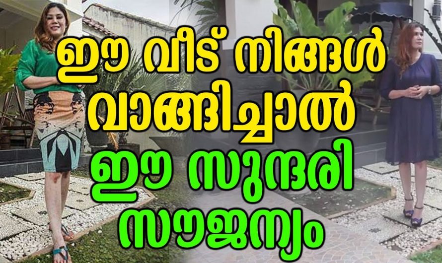 ഈ വീട് നിങ്ങൾ വാങ്ങിച്ചാൽ ഈ സുന്ദരി സൗജന്യം