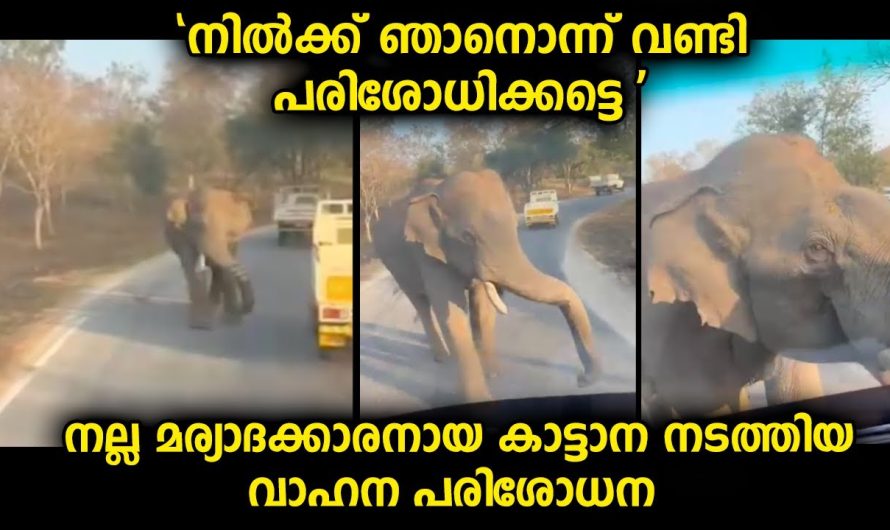 ഇങ്ങനൊരു വാഹനപരിശോധന ഈ വഴി പോകുന്ന വാഹനങ്ങളിലെ ഡ്രൈവർമാർ ആരും പ്രതീക്ഷിച്ചില്ല.
