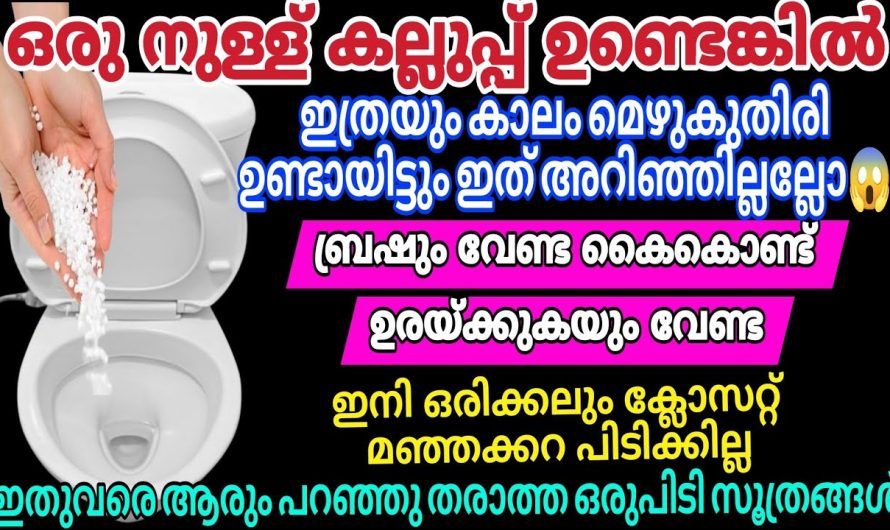 കല്ലുപ്പും മെഴുകുതിരിയും ഞെട്ടിച്ചു കളഞ്ഞു | ഇനി ഒരിക്കലും ക്ലോസറ്റ് മഞ്ഞക്കറ പിടിക്കില്ല💯