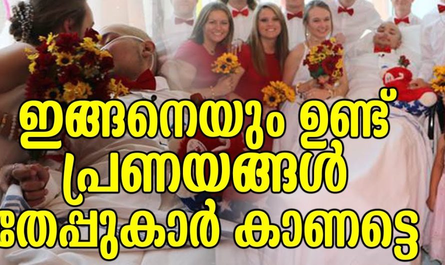 ഇങ്ങനെയും ഉണ്ട് പ്രണയങ്ങൾ തേപ്പുകാർ കാണട്ടെ