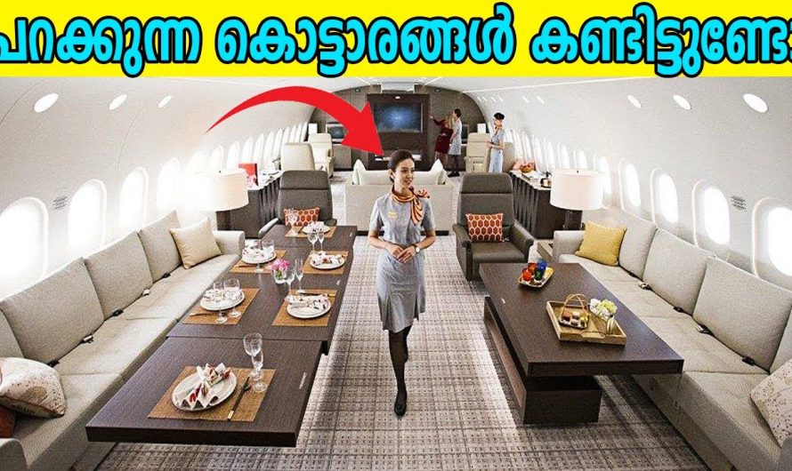 100 കോടിയുടെ വിമാനം കണ്ടിട്ടുണ്ടോ | ലോകത്തിലെ ഏറ്റവും വിചിത്രമായ വിമാനങ്ങൾ
