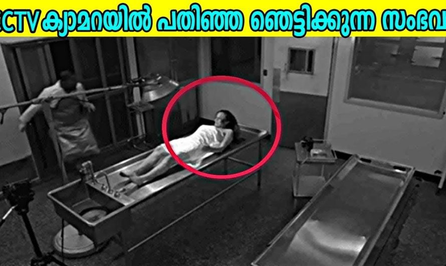 സിസിടിവിയിൽ പതിഞ്ഞ അവിശ്വസനീയമായ കാര്യങ്ങൾ |