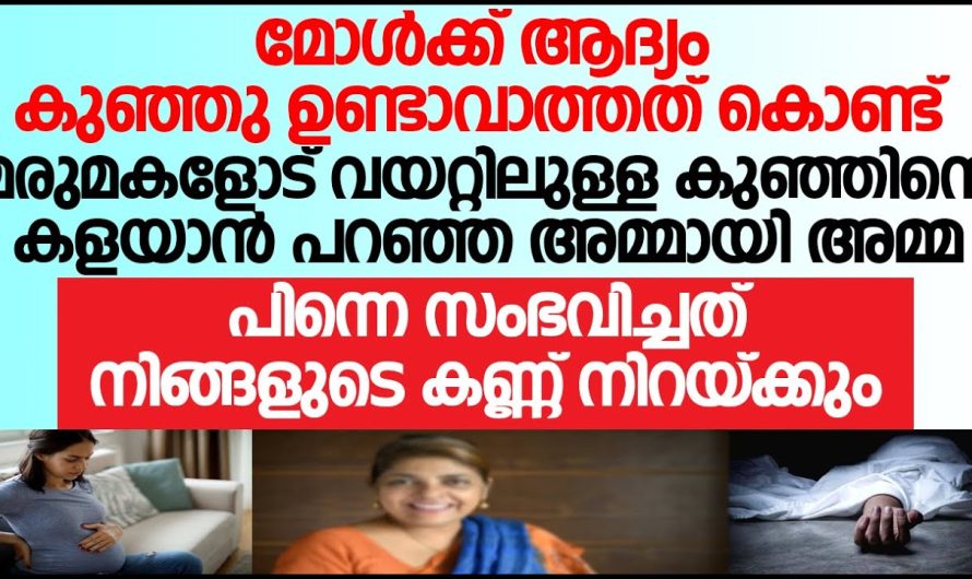 ഇങ്ങനെ ഒരു അമ്മായിമ്മയും വീട്ടുകാരും ലോകത്ത് എവിടെയും ഉണ്ടാകില്ല