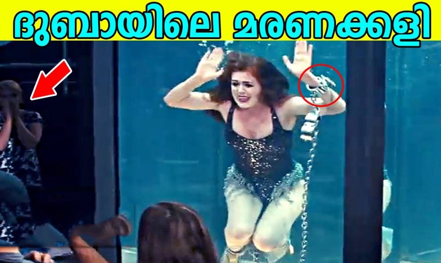 ദുബായിലെ മരണക്കളി |