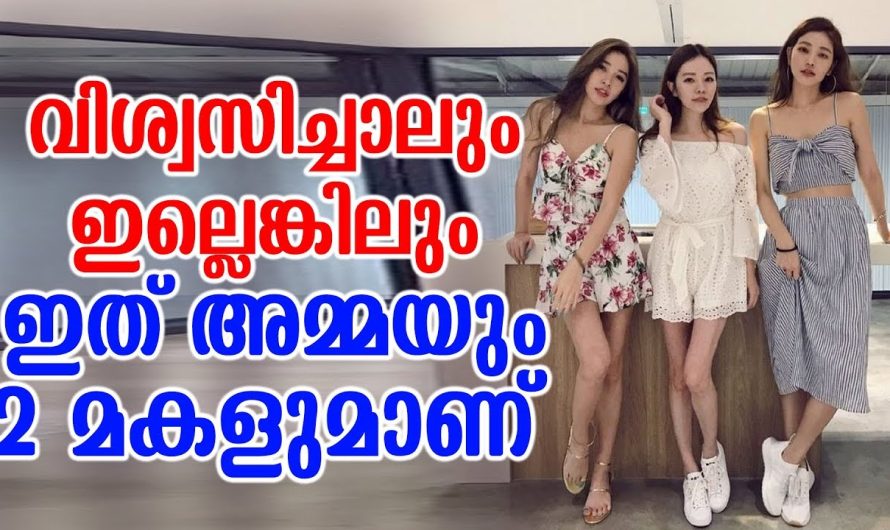 വിശ്വസിച്ചാലും ഇല്ലെങ്കിലും ഇത് അമ്മയും മക്കളും ആണ്