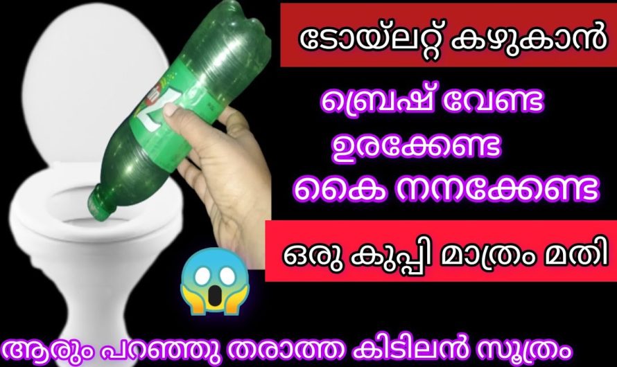 ടോയ്ലറ്റ് ഇനി മടിക്കാതെ ആർക്കും ക്ലീൻ ആക്കാം കൈ കൊണ്ട് തൊടാതെ